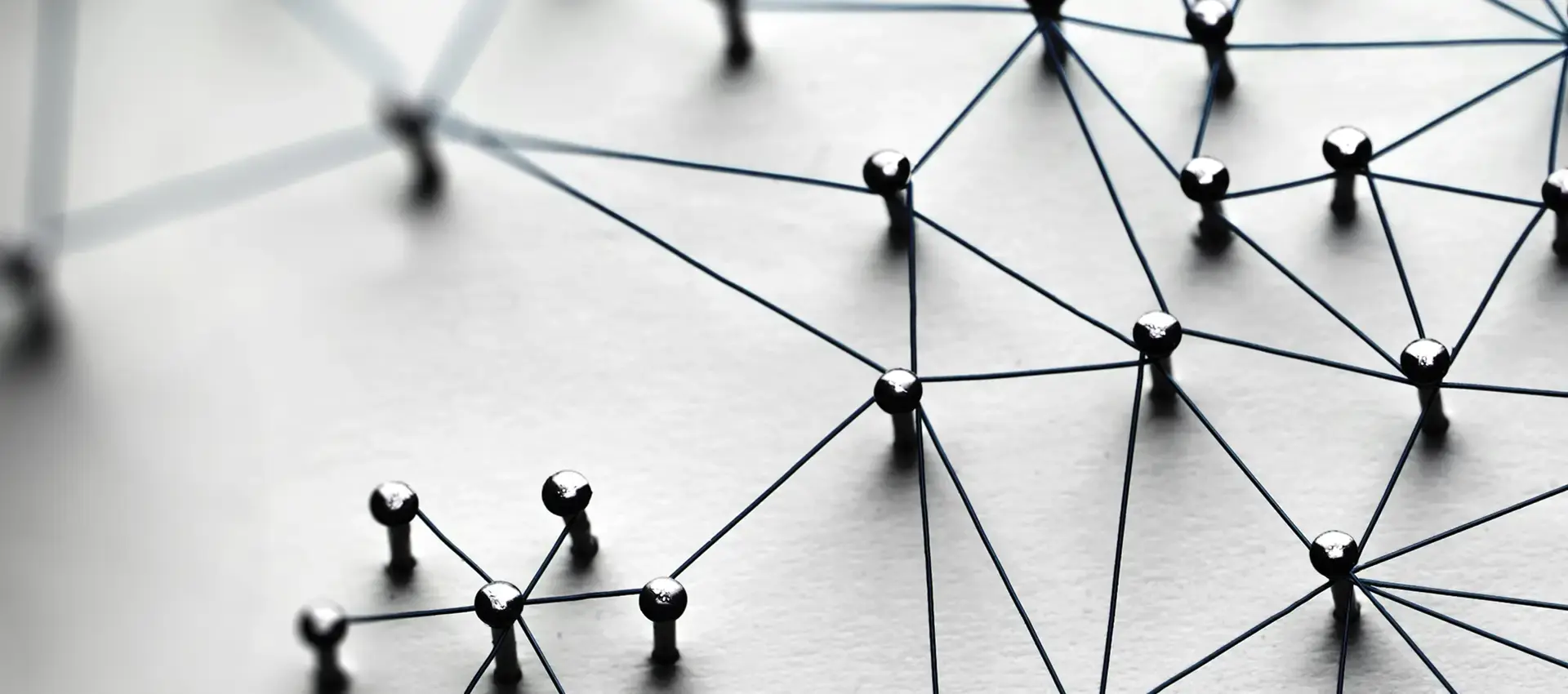 Operational Integrity and Communication