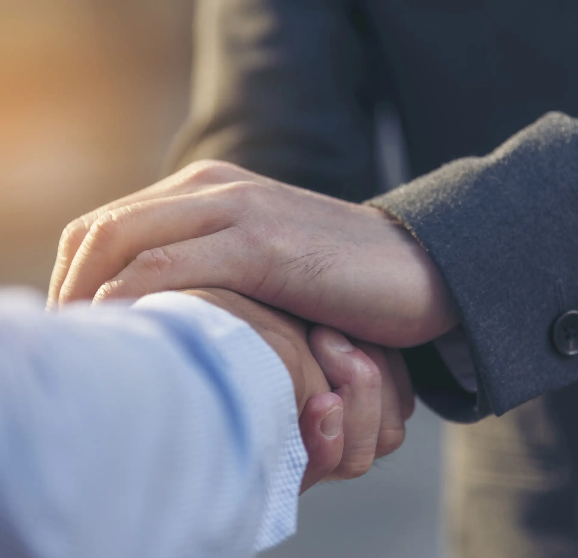 Collaborative Business Support & Partnerships